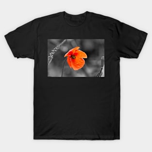 Red Poppy T-Shirt